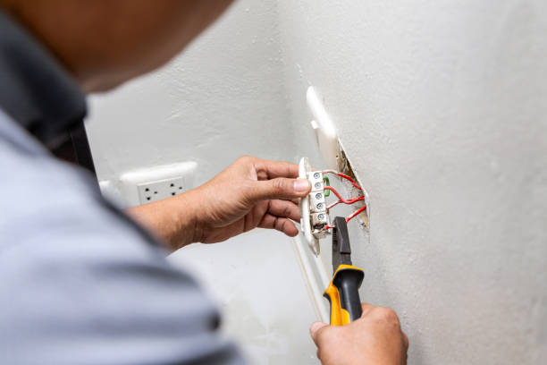Best Home Electrical Repair  in Burt, MI